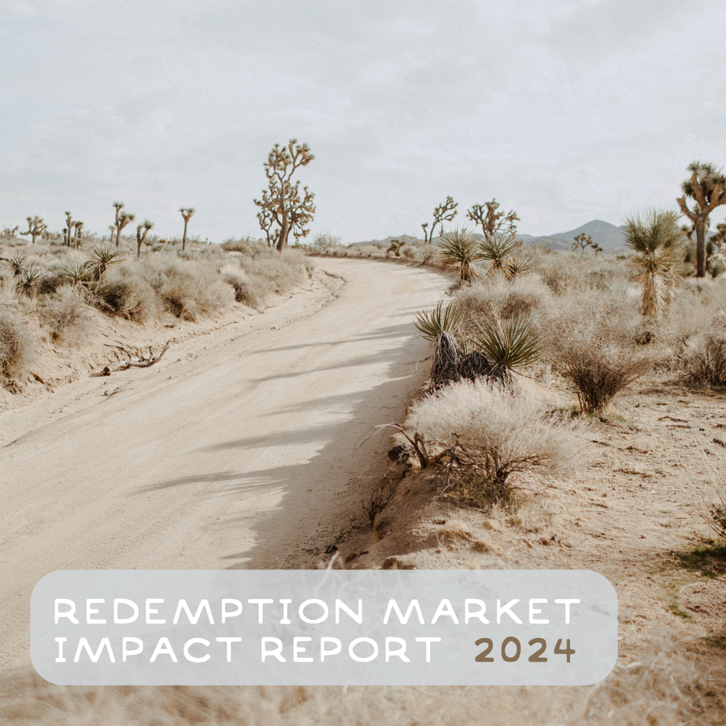 Social Impact Report 2024