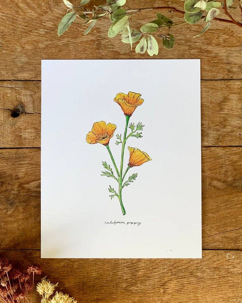 Botanical illustration of yellow flowers on a white card, placed on a wooden surface with dried flowers.