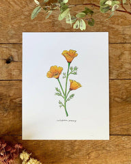 Botanical illustration of yellow flowers on a white card, placed on a wooden surface with dried flowers.