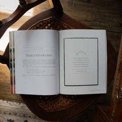 Fresh Start Two Week Bible Study