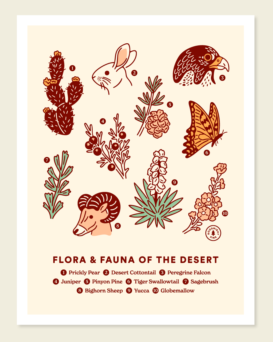 Illustration of desert flora and fauna on a beige background
