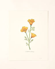 Illustration of three yellow flowers on a beige background