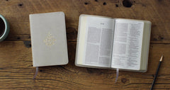 Branch Design Compact Bible- Stone