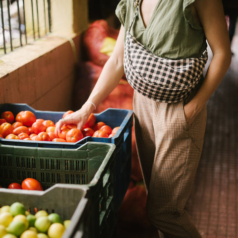 Moon Sling Bag- Winter Gingham