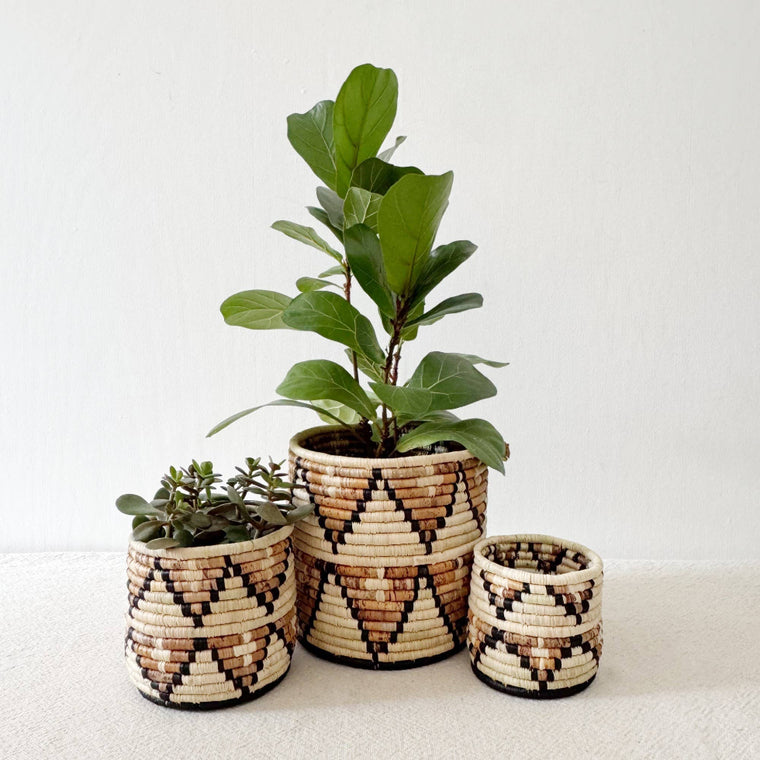 Busisi Storage Plant Basket