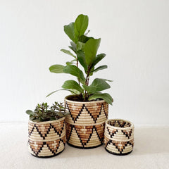 ethical boutiques phoenix az