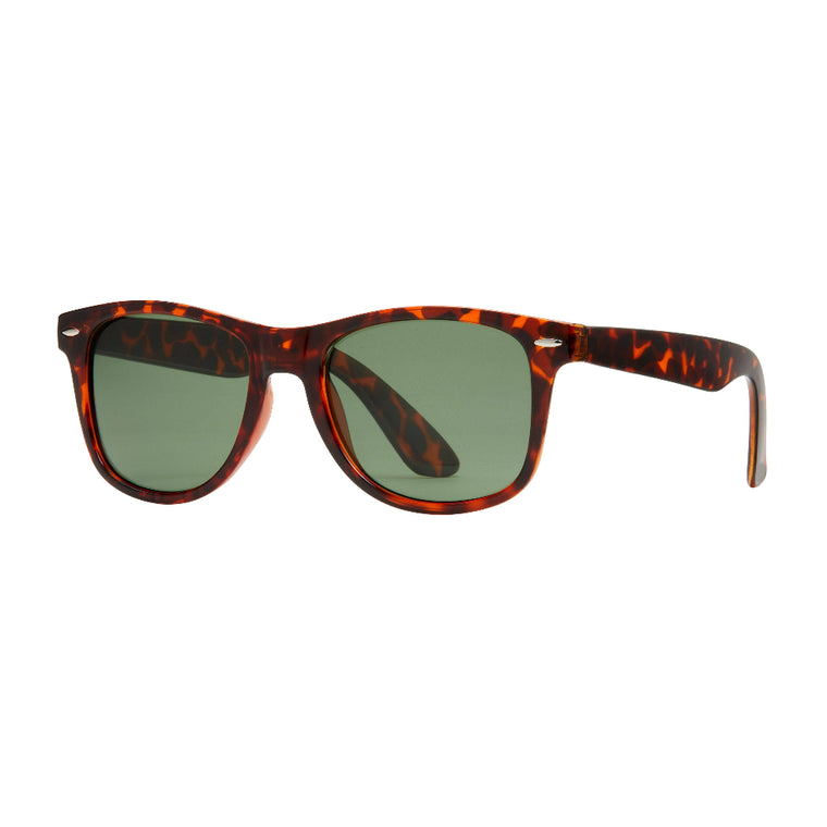 Brown Tort Grey Green Polarized Lens