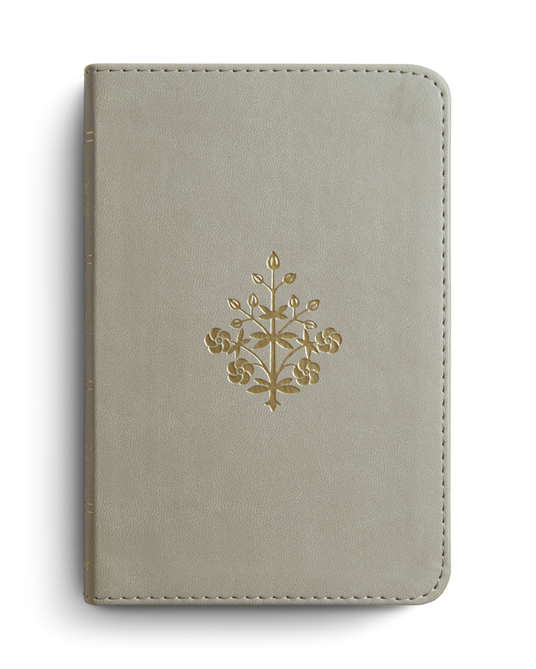 Branch Design Compact Bible- Stone