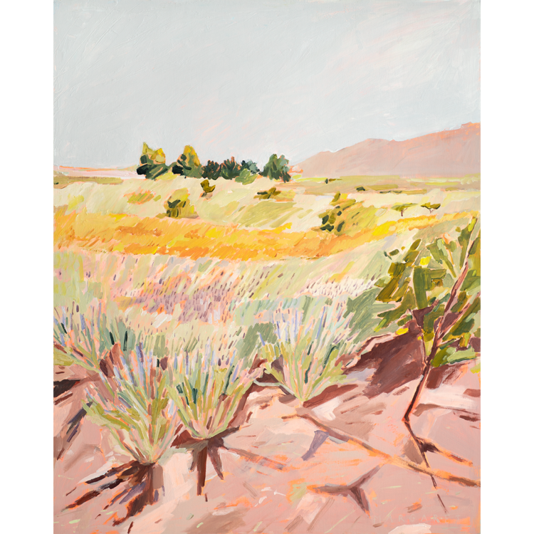 Lavender Fields Art Print