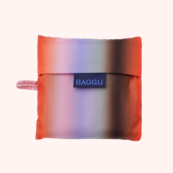 Gradient Stripe Poppy & Lilac BAGGU