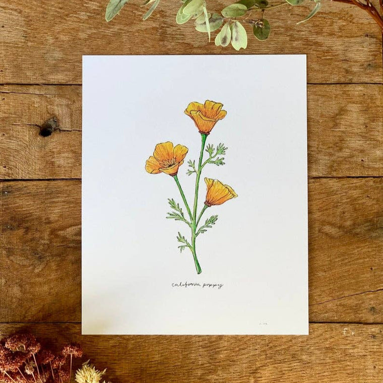 Golden Poppy Wildflower Art Print