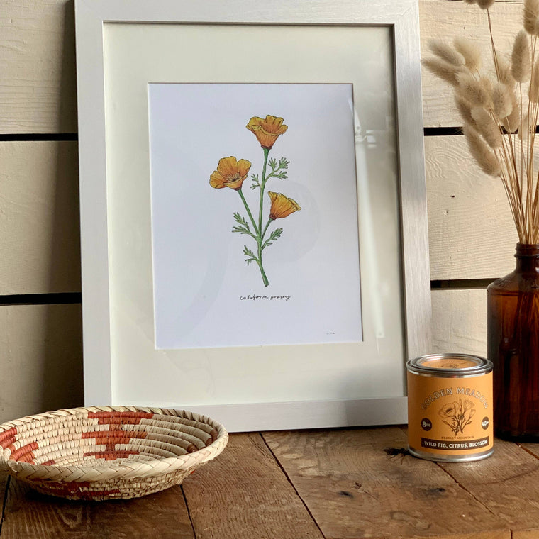 California Golden Poppy Wildflower Art Print