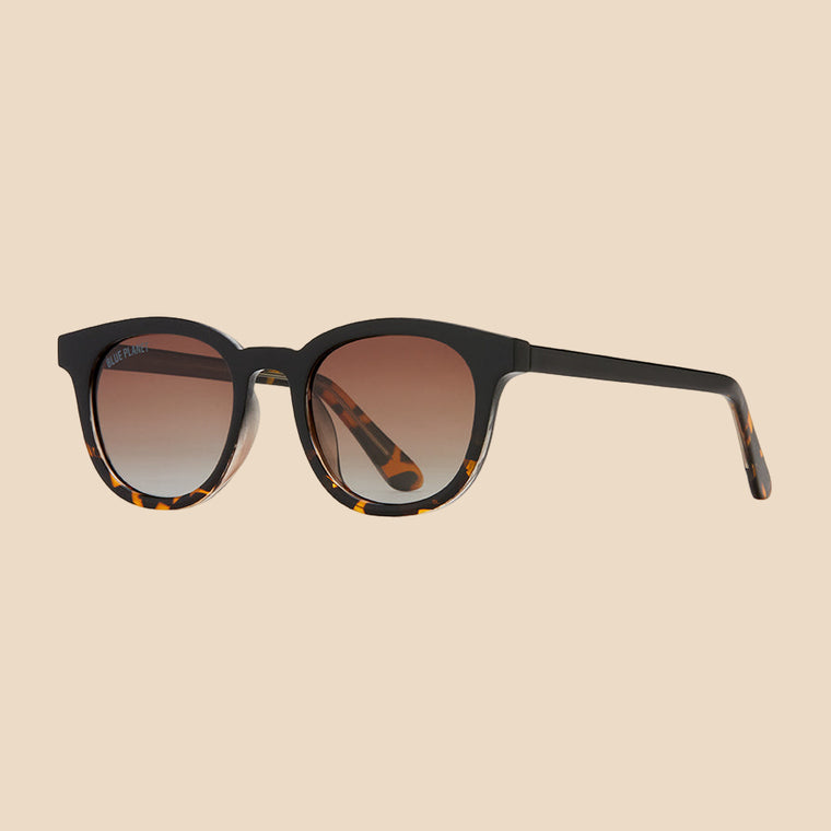 Onyx + Walnut Tortoise Ethical Sunglasses