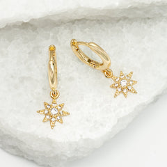 anti trafficking brands phoenix az