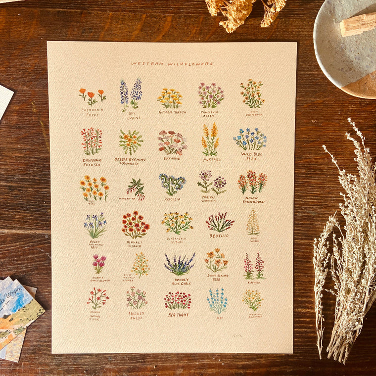 Western Wildflower Art With Names