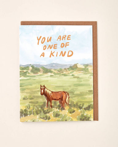 eco friendly cards