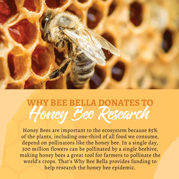 Candy Cane Handcrafted Lip Balm - Redemption Market